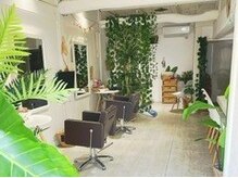 スフィンク(SfinkK)の雰囲気(観葉植物たくさんのスッキリとした店内♪)