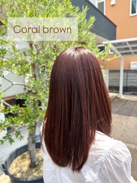 ティーズピーク(ty s peak) 【color】ワンカラー×コーラルブラウン