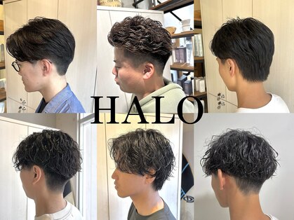 ハロ 蕨(HALO)の写真