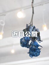 ハチ(Hachi)&nbsp;moeka 