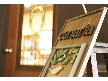 カナリア(canaria)の写真