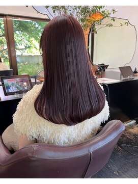 アン シュシュ(un chouchou) cassis brown