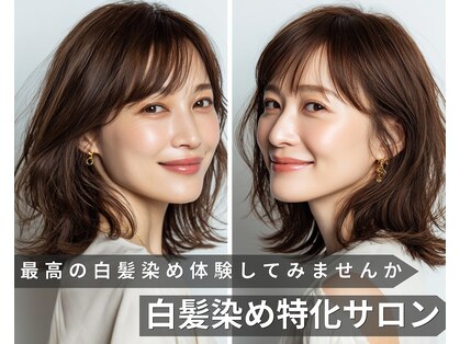 ステラ 川口東領家店(STELLA)の写真