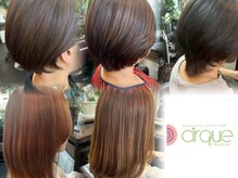 シィルク(cirque)