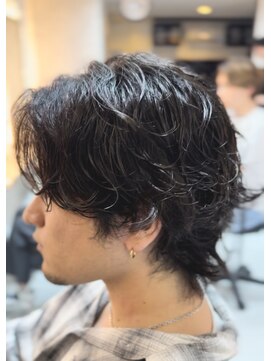 ウィローズ(WILLOW'S) センタパウルフスパイラル