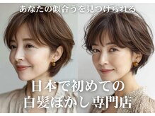 ハーツ(Heart's)の雰囲気(ショートカット、白髪ぼかし実力派勢揃い!リピート率90%越え◎)