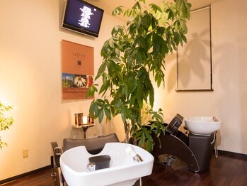 ランブッ・バグゥス