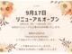 タエビスアリッサム(Taebis Alyssum)の写真