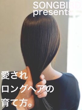 ソングバード(SONG BIRD) 綺麗なロングの育て方ブログに書いてます。