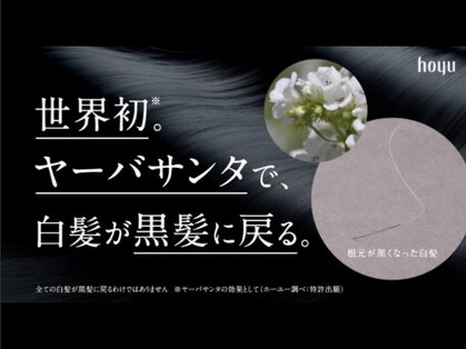 スイッチプラス(switch+)の写真