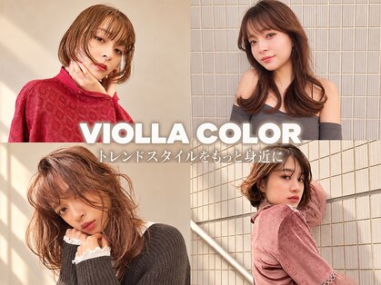 ヴィオラカラー(VIOLLA COLOR)の写真