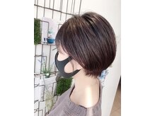 サニーツリー(Sunny tree)