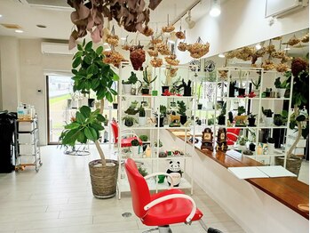 Quattro hair【クアトロヘア】