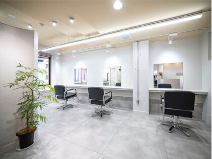 マアル(maal)の写真