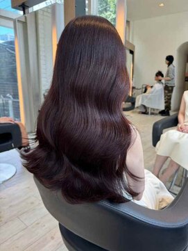 ダブル(W) 艶髪ロング/ブラウンレッド