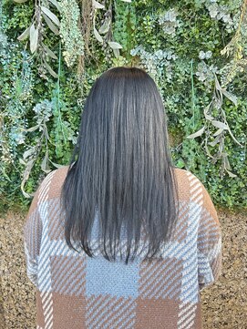 ノーブルヘアー(NOBLE HAIR) アッシュグレー