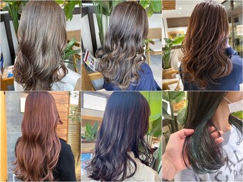 COSTA EST of RICHAIR　東越谷店