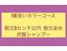 1番良いカラーコース ＋炭酸シャンプー