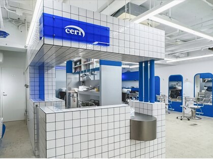 セリ 表参道(ceri)の写真