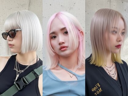 プネル(punel)の写真