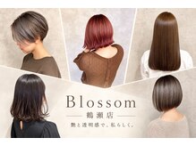 ブロッサム 鶴瀬店(Blossom)
