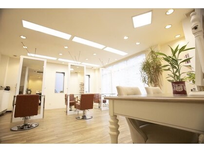 リゾーム デ リアン(Rhizome des liens)の写真