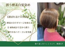 ウエニ シード(SEED)