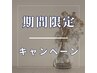 【期間限定キャンペーン】パーソナル髪質改善【81通りから選択】6600→3300