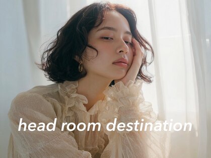 ヘッドルーム ディスティネーション(Head Room Distination)の写真