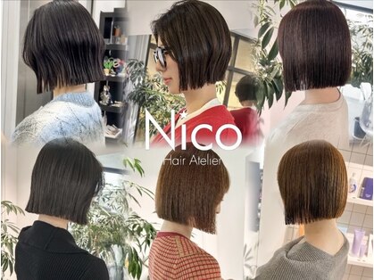 ニコ(Nico)の写真