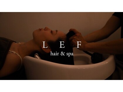 レフ(LEF)の写真