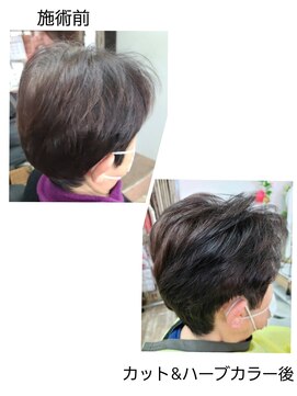 パピー ショートスタイル