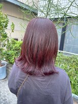 エイゾー(EIZO)&nbsp;【ゼロテクカラー】チェリー×ブラウン