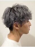 シルバーアッシュグレーマッシュ