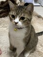 ブルーオーシャン 大久保店(BLUEOCEAN) 我が家の癒しです◎
