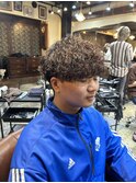 波巻きプードル