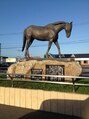 エムフロムソレイユミュー(M from soleil mju)&nbsp;午年、馬ヅラで馬は大好きですが、競馬は当たりません。