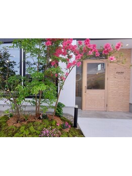 スタイリスト1名のみのゆったり落ち着いた空間、完全マンツーマンのプライベートサロンです◎