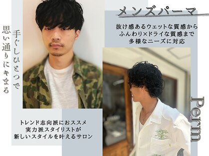 カウチ(Kauti)の写真