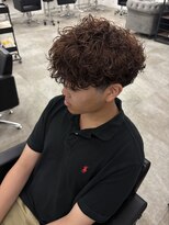 ハイセンス セカンド(HISENSE second)&nbsp;テーパーフェード波巻きプードル【TAIKI】