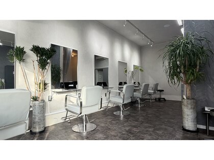 クロ(Chro)の写真