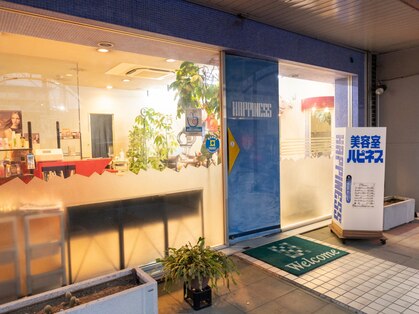 ハピネスの写真