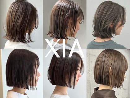 シア(XIA)の写真