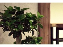 ポルタメント(prtmnt)の雰囲気(木と植物に囲まれた空間)