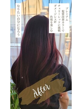 ヒライス 千歳船橋(Hiraeth) チェリーレッドで 色味を楽しむカラーに大胆チェンジ