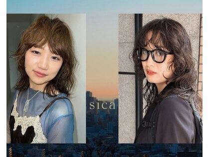 シカ(sica)の写真