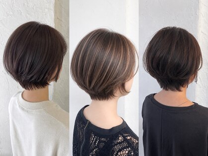 シロ(Shiro)の写真
