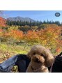 リンダバイネオリーブ 白楽店(Linda by neolive) 実家の愛犬です♪動物が大好きです。