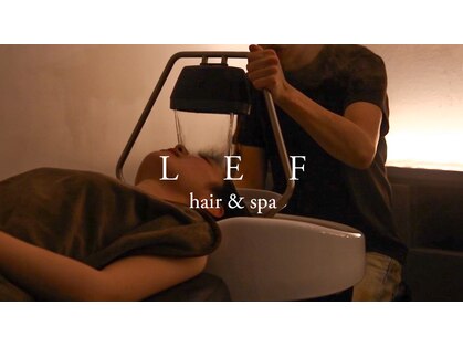 レフ(LEF)の写真