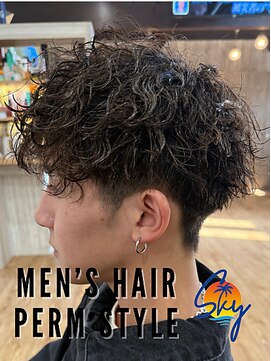 スカイ(SKY) ツイスパ/波巻き/眉毛/バーバー/ニュアンスパーマ/ブリーチ